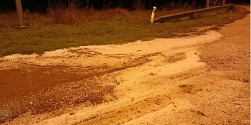 Το χαλάζι διέλυσε τις καλλιέργειες φασολιών στην Πρέσπα- Νέο πλήγμα για τη Δυτική Μακεδονία(VIDEO, Φωτό)
