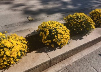 Πτολεμαΐδα: Χρώμα απέκτησε το κέντρο της πόλης