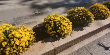 Πτολεμαΐδα: Χρώμα απέκτησε το κέντρο της πόλης