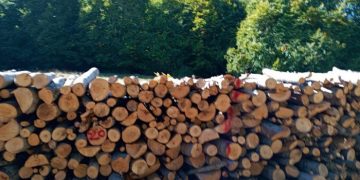 Δήμος Κοζάνης: Καυσόξυλα σε κατοίκους Σιδερών & Αγίου Χαραλάμπους