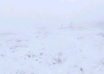 Στα λευκά η Βασιλίτσα