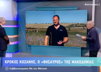 Κρόκος Κοζάνης, ο θησαυρός της Μακεδονίας – Τι λέει για τη φετινή συγκομιδή στον Νίκο Μάνεση, ο πρόεδρος του Συνεταιρισμού-VIDEO