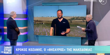 Κρόκος Κοζάνης, ο θησαυρός της Μακεδονίας – Τι λέει για τη φετινή συγκομιδή στον Νίκο Μάνεση, ο πρόεδρος του Συνεταιρισμού-VIDEO