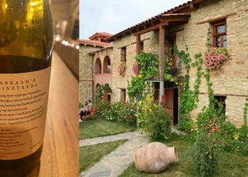 «Αbraam’s Vineyards»: Νέο οινοποιείο στην Καστοριά στη μέση ενός φυσικού τριγώνου βουνών