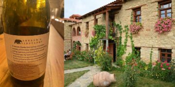 «Αbraam’s Vineyards»: Νέο οινοποιείο στην Καστοριά στη μέση ενός φυσικού τριγώνου βουνών