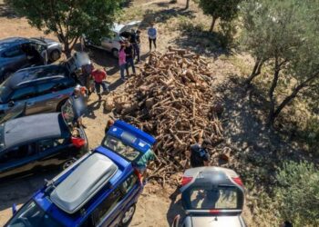 Μπορώ να μεταφέρω ξύλα για το τζάκι με το αυτοκίνητό μου; -Τι ισχύει