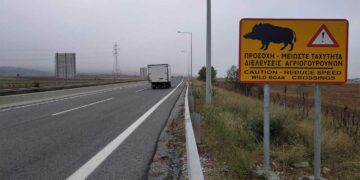 Πινακίδες που ενημερώνουν τους οδηγούς για διέλευση αγριογούρουνων τοποθετήθηκαν στο δρόμο Κοζάνη – Πτολεμαΐδα