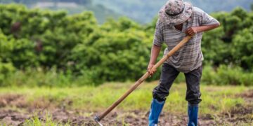 Συμφωνία με την Αίγυπτο για 5.000 εποχικούς εργάτες γης στην Ελλάδα