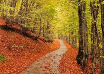 Όταν η φύση… ζωγραφίζει: Μαγικά φθινοπωρινά χρώματα στον “Αρκτούρο”