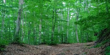 Εξόρμηση Σ.Ε.Ο. Κοζανης στo όρος Άσκιο το Σάββατο 3-12-2022