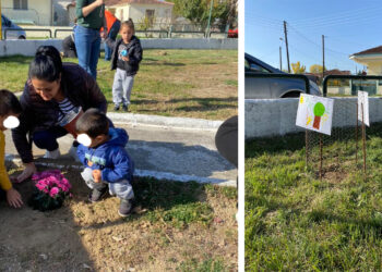 Δέντρα και χρυσάνθεμα φύτευσαν οι μικροί μαθητές στον Περδίκκα