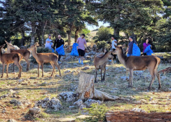 H εθελοντική ομάδα της Enel Green Power καθάρισε την Πάρνηθα