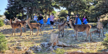 H εθελοντική ομάδα της Enel Green Power καθάρισε την Πάρνηθα