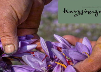 Πέντε από τα πιο ακριβά τρόφιμα του κόσμου