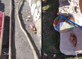 Καταγγελία πολιτών: “Ασυνείδητοι επισκέπτες προκάλεσαν ζημιές στο πάρκο ελαφιών του Αγίου Παντελεήμονα”