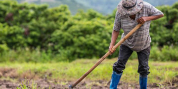 Καταβολή πρώτης δόσης σε Νέους Αγρότες της Δυτικής Μακεδονίας – Ολοκληρώθηκε η εξέταση των ενστάσεων