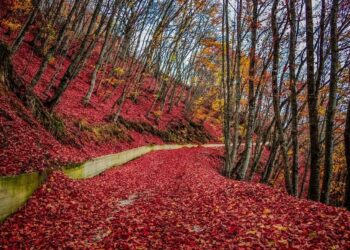 Τρία μαγευτικά φθινοπωρινά road trip στην ορεινή Δυτική Μακεδονία