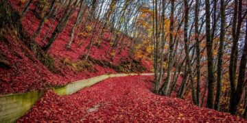 Τρία μαγευτικά φθινοπωρινά road trip στην ορεινή Δυτική Μακεδονία