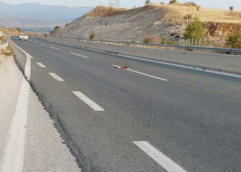 Αναμένεται περίφραξη στον οδικό άξονα της Εγνατίας έπειτα από αίτημα των Κυνηγετικών Συλλόγων Εορδαίας και Κοζάνης