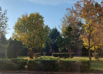 Όταν η φύση “ζωγραφίζει” με χρώματα της ΦΘΙΝΟΠΩΡΙΝΗΣ παλέτας ! (της Κούλας Πουλασιχίδου)