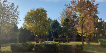 Όταν η φύση “ζωγραφίζει” με χρώματα της ΦΘΙΝΟΠΩΡΙΝΗΣ παλέτας ! (της Κούλας Πουλασιχίδου)