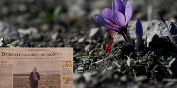 Στερεύει ο  «χρυσός» της Κοζάνης – Ρεπορτάζ της “ΚΑΘΗΜΕΡΙΝΗΣ”