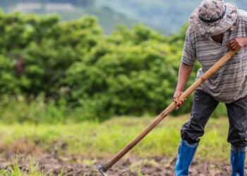 Συμφωνία με την Αίγυπτο για 5.000 εποχικούς εργάτες γης στην Ελλάδα