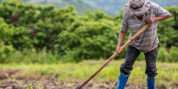 Συμφωνία με την Αίγυπτο για 5.000 εποχικούς εργάτες γης στην Ελλάδα