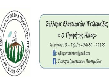 Σύλλογος Βλατσιωτών Πτολεμαΐδας “Ο Προφήτης Ηλίας”: Γενική Εκλογοαπολογιστική Συνέλευση