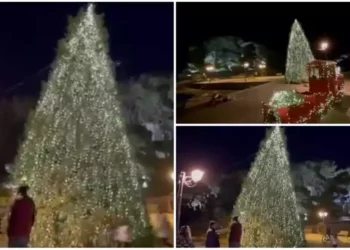 Αυτό είναι το πιο «πράσινο» χριστουγεννιάτικο δέντρο της Ελλάδας: Τροφοδοτείται από αυτόνομα φωτοβολταϊκά