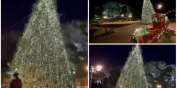 Αυτό είναι το πιο «πράσινο» χριστουγεννιάτικο δέντρο της Ελλάδας: Τροφοδοτείται από αυτόνομα φωτοβολταϊκά