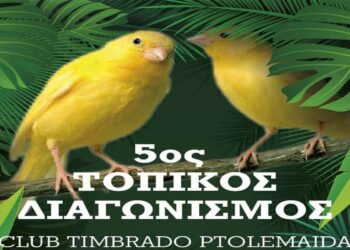 5ος τοπικός διαγωνισμός club timbrado Πτολεμαΐδας, 6-10/12 στην Αναρράχη