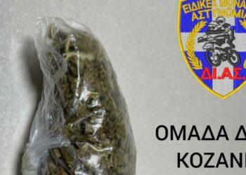 Συνελήφθησαν τέσσερις νεαροί στην Κοζάνη για κατοχή ακατέργαστης κάνναβης- Ανάμεσα τους 2 ανήλικοι 14 χρονών