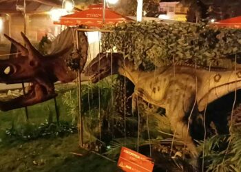 Τους πρώτους τους “θαυμαστές” δέχθηκαν οι ΔΕΙΝΟΣΑΥΡΟΙ του Δήμου Εορδαίας, που έφτασαν σήμερα στην Πτολεμαΐδα! (ρεπορτάζ της Κούλας Πουλασιχίδου)