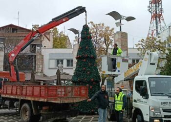 Στα γιορτινά της “ντύνεται” σταδιακά και η Κεντρική Πλατεία της Πτολεμαΐδας , με την τοποθέτηση του ΧΡΙΣΤΟΥΓΕΝΝΙΑΤΙΚΟΥ ΔΕΝΤΡΟΥ !  (ρεπορτάζ της Κούλας Πουλασιχίδου)