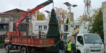 Στα γιορτινά της “ντύνεται” σταδιακά και η Κεντρική Πλατεία της Πτολεμαΐδας , με την τοποθέτηση του ΧΡΙΣΤΟΥΓΕΝΝΙΑΤΙΚΟΥ ΔΕΝΤΡΟΥ !  (ρεπορτάζ της Κούλας Πουλασιχίδου)