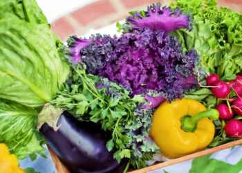 Δήμος Κοζάνης: «Καλάθι Αλληλεγγύης» στη λαϊκή αγορά Αριστοτέλους το Σάββατο 17 Δεκέμβρη