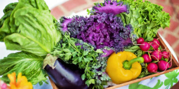 Δήμος Κοζάνης: «Καλάθι Αλληλεγγύης» στη λαϊκή αγορά Αριστοτέλους το Σάββατο 17 Δεκέμβρη