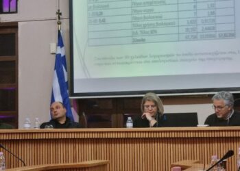 Βόιο: Στα 8,5 εκατομμύρια ανέρχεται το χρέος της ΔΕΥΑΒ στη ΔΕΗ