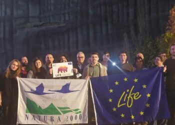 Ευρωπαϊκό πρόγραμμα για τη συνύπαρξη των ανθρώπων με την αρκούδα – Συμμετέχει και ο δήμος Αμυνταίου