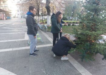 Το Χριστουγεννιάτικό του δέντρο στολίζει αυτή την ώρα το Σωματείο Κομμωτών Κουρέων Πτολεμαΐδας