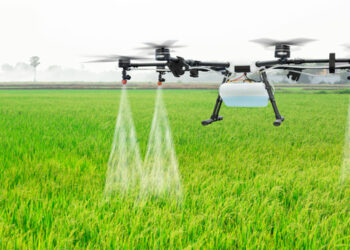 Στην Καστοριά ψεκαζουν τα σιτηρά με drone, για να καταπολεμήσουν καταστροφικά για τις καλλιέργειες σκαθάρια !