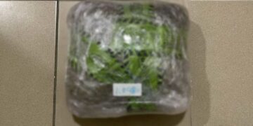 46χρονος πιάστηκε στην Κοζάνη με περισσότερο από 1 κιλό κάνναβης –Την είχε παραλάβει από Θεσσαλονίκη –Δύο συλλήψεις