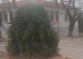 Ολοκληρώνονται οι προετοιμασίες στην Ασβεστόπετρα για την αναβίωση του εθίμου “Κόλλιαντα Μπάμπω”