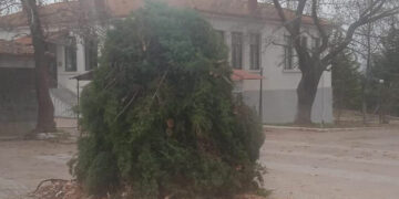 Ολοκληρώνονται οι προετοιμασίες στην Ασβεστόπετρα για την αναβίωση του εθίμου “Κόλλιαντα Μπάμπω”