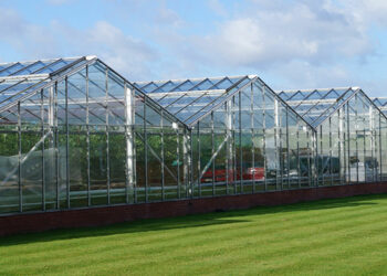 Πως ο ήλιος μπορεί να μειώσει το κόστος θέρμανσης των θερμοκηπίων