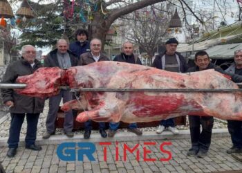Στον Έβρο η μεγαλύτερη σούβλα της χρονιάς με περισσότερα από 450 κιλά κρέας για τους επισκέπτες (φώτο – βίντεο)