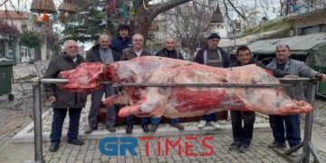 Στον Έβρο η μεγαλύτερη σούβλα της χρονιάς με περισσότερα από 450 κιλά κρέας για τους επισκέπτες (φώτο – βίντεο)