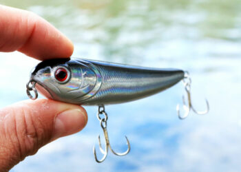 Tenya: Μια τεχνική ψαρέματος από την Ιαπωνία