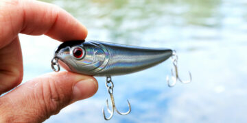 Tenya: Μια τεχνική ψαρέματος από την Ιαπωνία